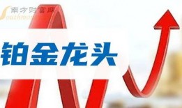 信和地产爆料最新消息新闻,揭秘项目进展与市场动态